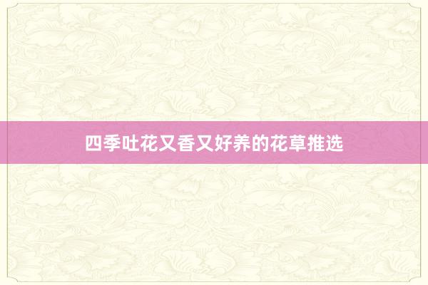 四季吐花又香又好养的花草推选